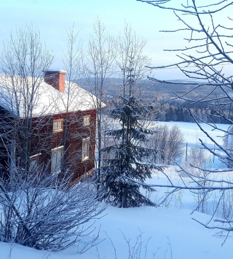 Cozy Stuga - Mountain View Ramsele Buitenkant foto