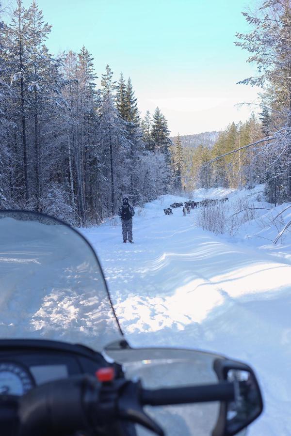 Cozy Stuga - Mountain View Ramsele Buitenkant foto