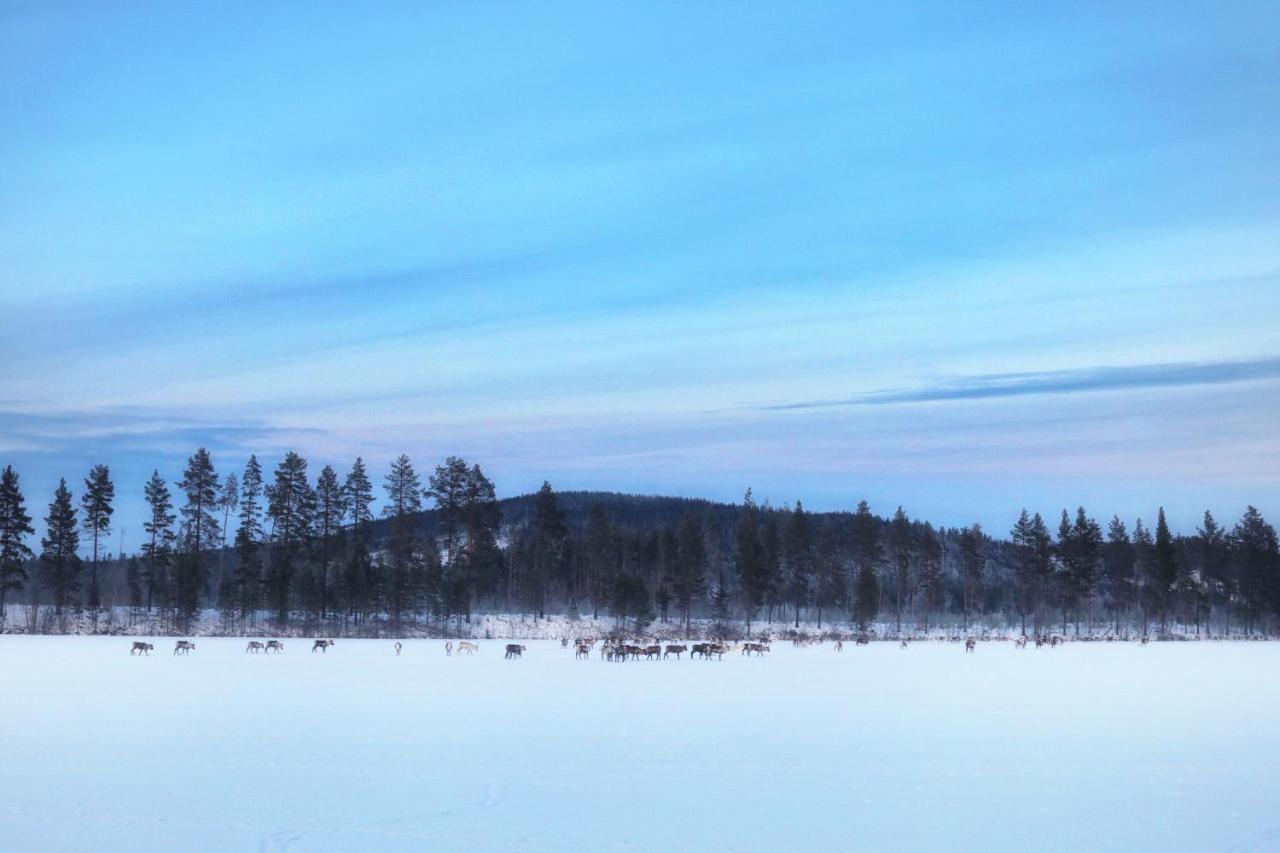 Cozy Stuga - Mountain View Ramsele Buitenkant foto