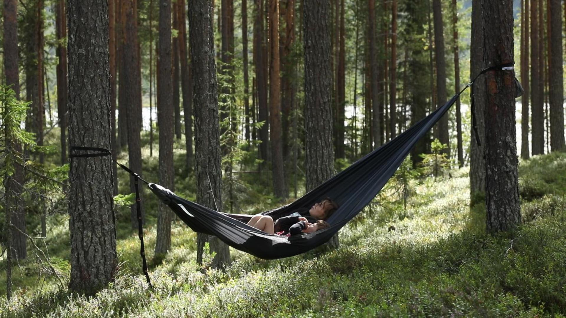 Cozy Stuga - Mountain View Ramsele Buitenkant foto